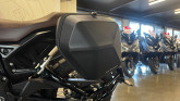 INDIAN FTR 1200 RALLY 1ERE MAIN - 156€/MOIS*