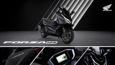 Nouveau Forza 125 2025