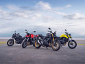 Nouveau Hornet 1000 2025